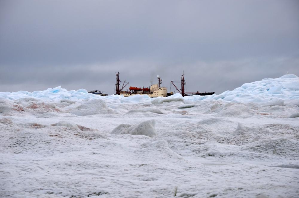 Остров Жаннетты. Научно-исследовательское судно «Михаил Сомов» на горизонте за краем ледяного припая