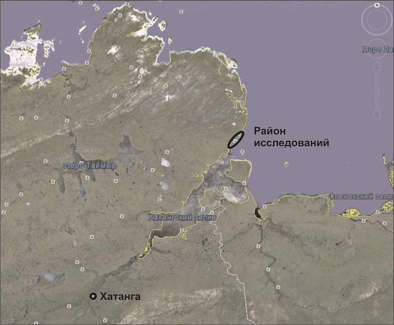 Обзорная карта района исследований